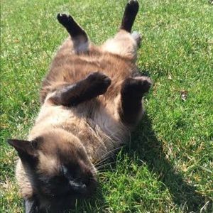 Meet your Posher, Claire